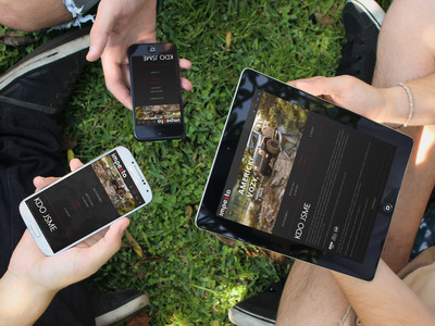 kontrola responzivity webu